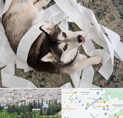 خرید ضایعات پت در محلاتی شیراز 