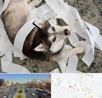 خرید ضایعات پت در بلوار معلم مشهد 