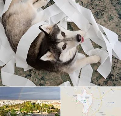 خرید ضایعات پت در تربت حیدریه