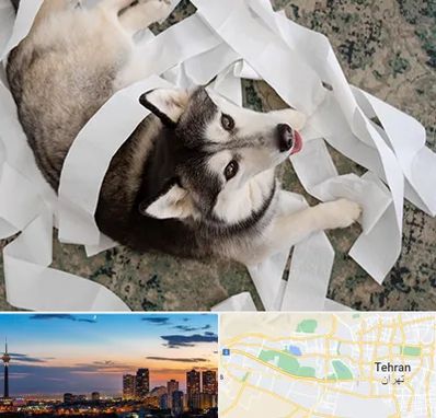 خرید ضایعات پت در غرب تهران 