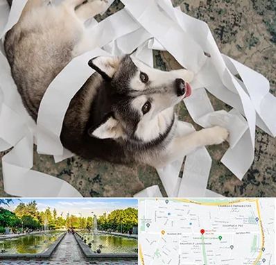 خرید ضایعات پت در سرسبز 