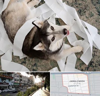 خرید ضایعات پت در خیابان جمالزاده