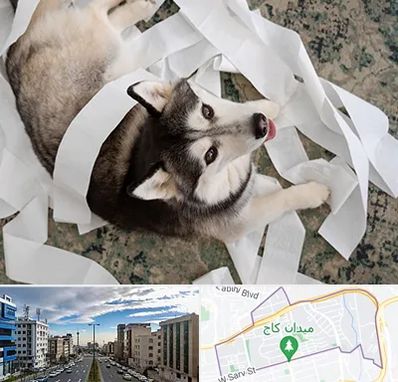 خرید ضایعات پت در سعادت آباد 