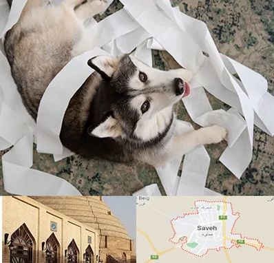 خرید ضایعات پت در ساوه