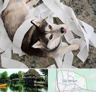 خرید ضایعات پت در صومعه سرا