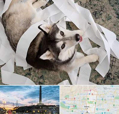 خرید ضایعات پت در منطقه 2 تهران 