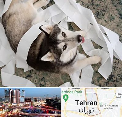 خرید ضایعات پت در صادقیه 