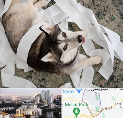 خرید ضایعات پت در الهیه 