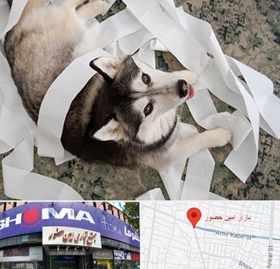 خرید ضایعات پت در امین حضور