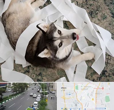 خرید ضایعات پت در ستارخان 