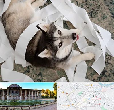 خرید ضایعات پت در عفیف آباد شیراز 