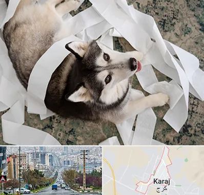 خرید ضایعات پت در گوهردشت کرج 