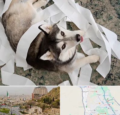 خرید ضایعات پت در فرهنگ شهر شیراز 