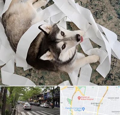 خرید ضایعات پت در ظفر 