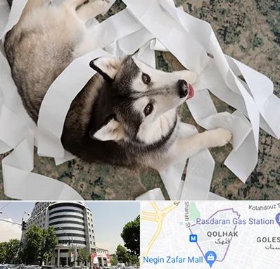 خرید ضایعات پت در قلهک 