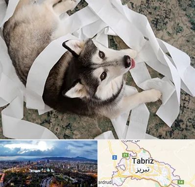 خرید ضایعات پت در تبریز