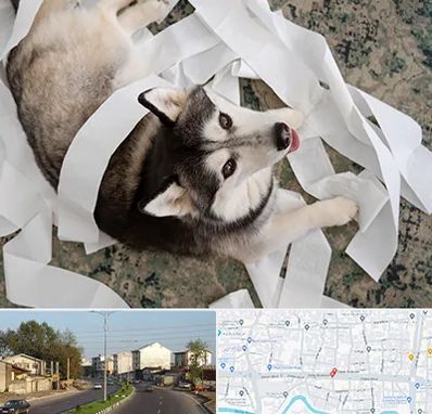 خرید ضایعات پت در ضیابری رشت 