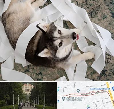 خرید ضایعات پت در بلوار معلم رشت 