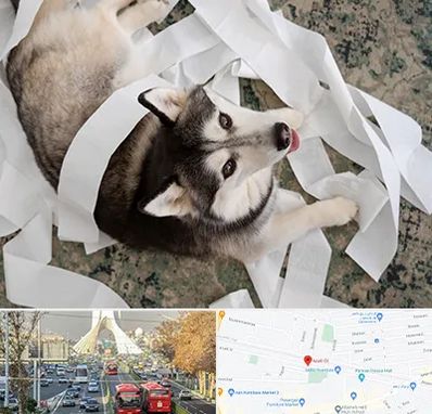 خرید ضایعات پت در خیابان آزادی 