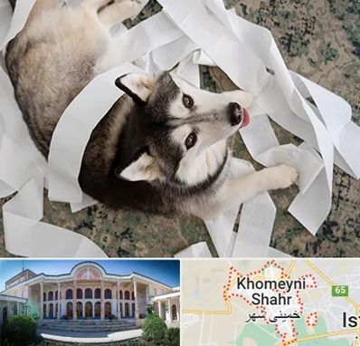 خرید ضایعات پت در خمینی شهر