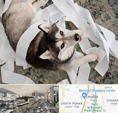 خرید ضایعات پت در پونک 