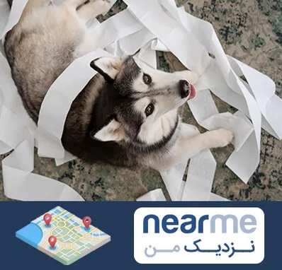 خرید ضایعات پت در نزدیک من