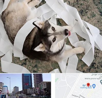 خرید ضایعات پت در چهارراه طالقانی کرج 