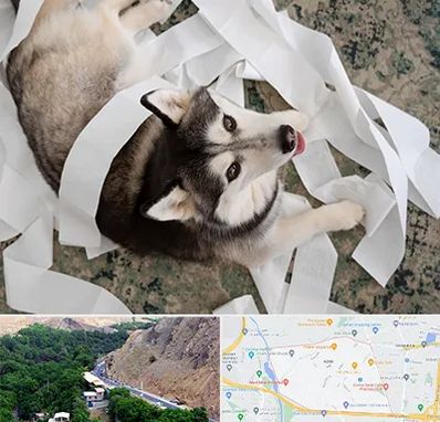 خرید ضایعات پت در کن 