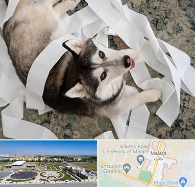 خرید ضایعات پت در ملارد