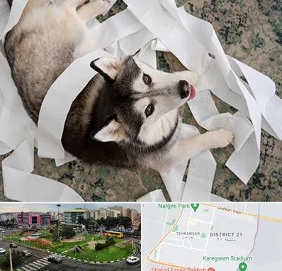 خرید ضایعات پت در تهرانسر 