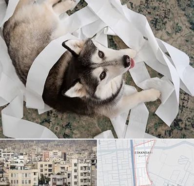 خرید ضایعات پت در اسکندری