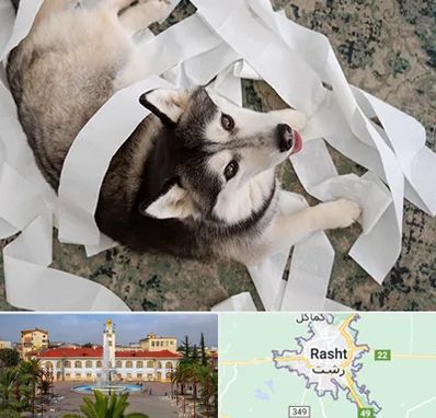 خرید ضایعات پت در رشت