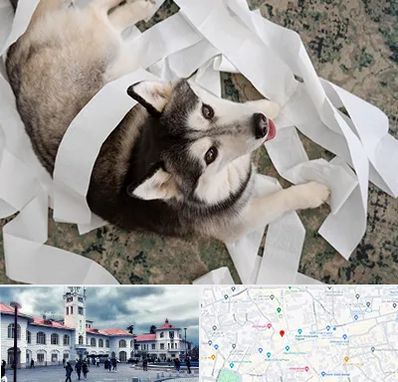 خرید ضایعات پت در میدان شهرداری رشت 