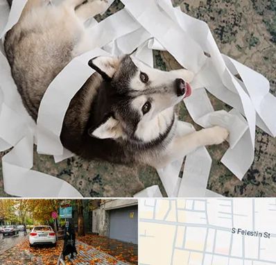 خرید ضایعات پت در خیابان فلسطین