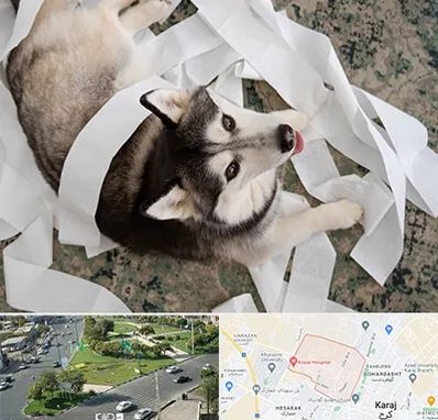 خرید ضایعات پت در شاهین ویلا کرج 