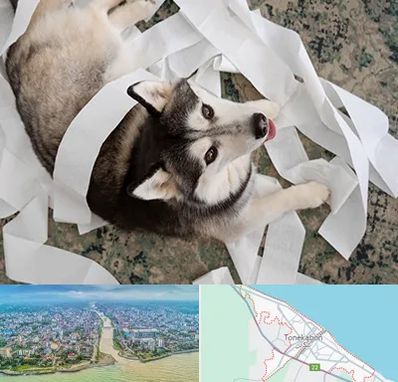 خرید ضایعات پت در تنکابن