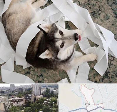 خرید ضایعات پت در اوین