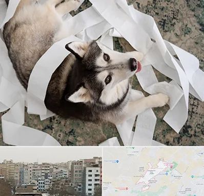 خرید ضایعات پت در محمد شهر کرج 