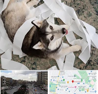 خرید ضایعات پت در بلوار فردوسی مشهد 