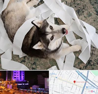 خرید ضایعات پت در آبرسان تبریز