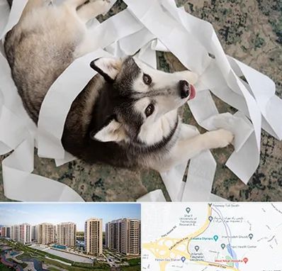 خرید ضایعات پت در المپیک