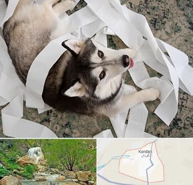 خرید ضایعات پت در کردان