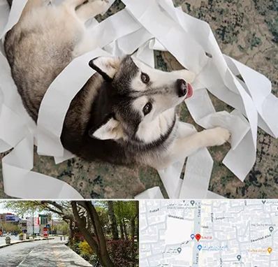 خرید ضایعات پت در خیابان توحید اصفهان 