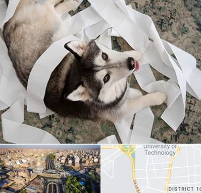 خرید ضایعات پت در استاد معین 