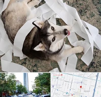 خرید ضایعات پت در امامت مشهد 