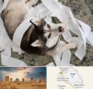 خرید ضایعات پت در یزد