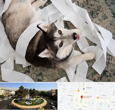 خرید ضایعات پت در هفت حوض 