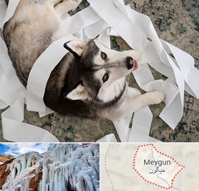 خرید ضایعات پت در میگون