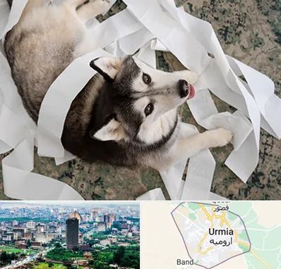 خرید ضایعات پت در ارومیه