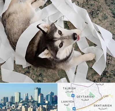 خرید ضایعات پت در قیطریه 